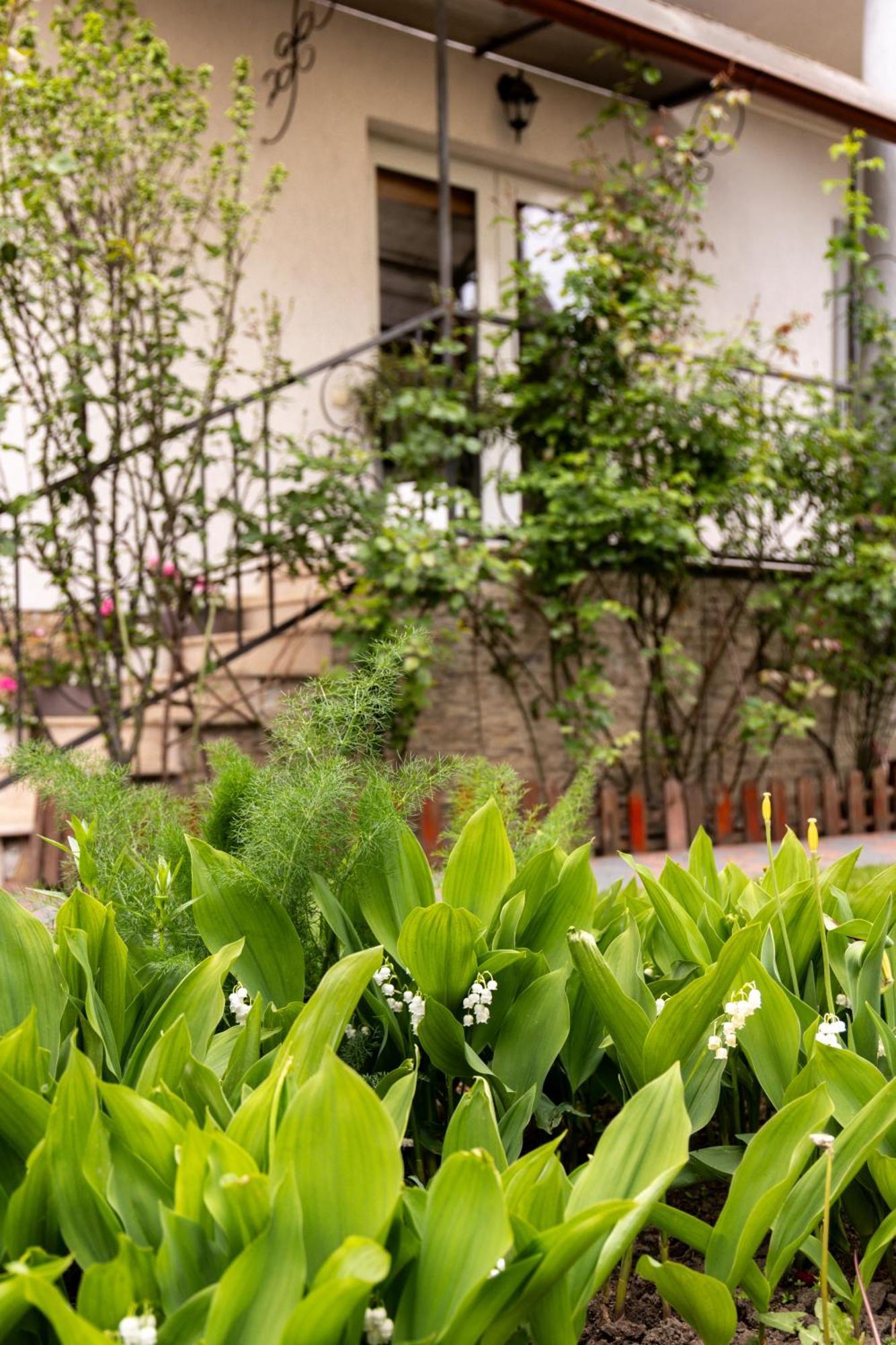 Green Garden 阿夫里格 外观 照片